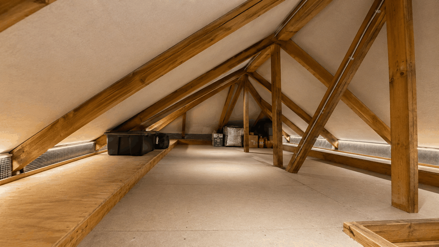 Rodent Proofing in Andover